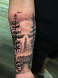 Forest scene