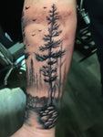Forest scene